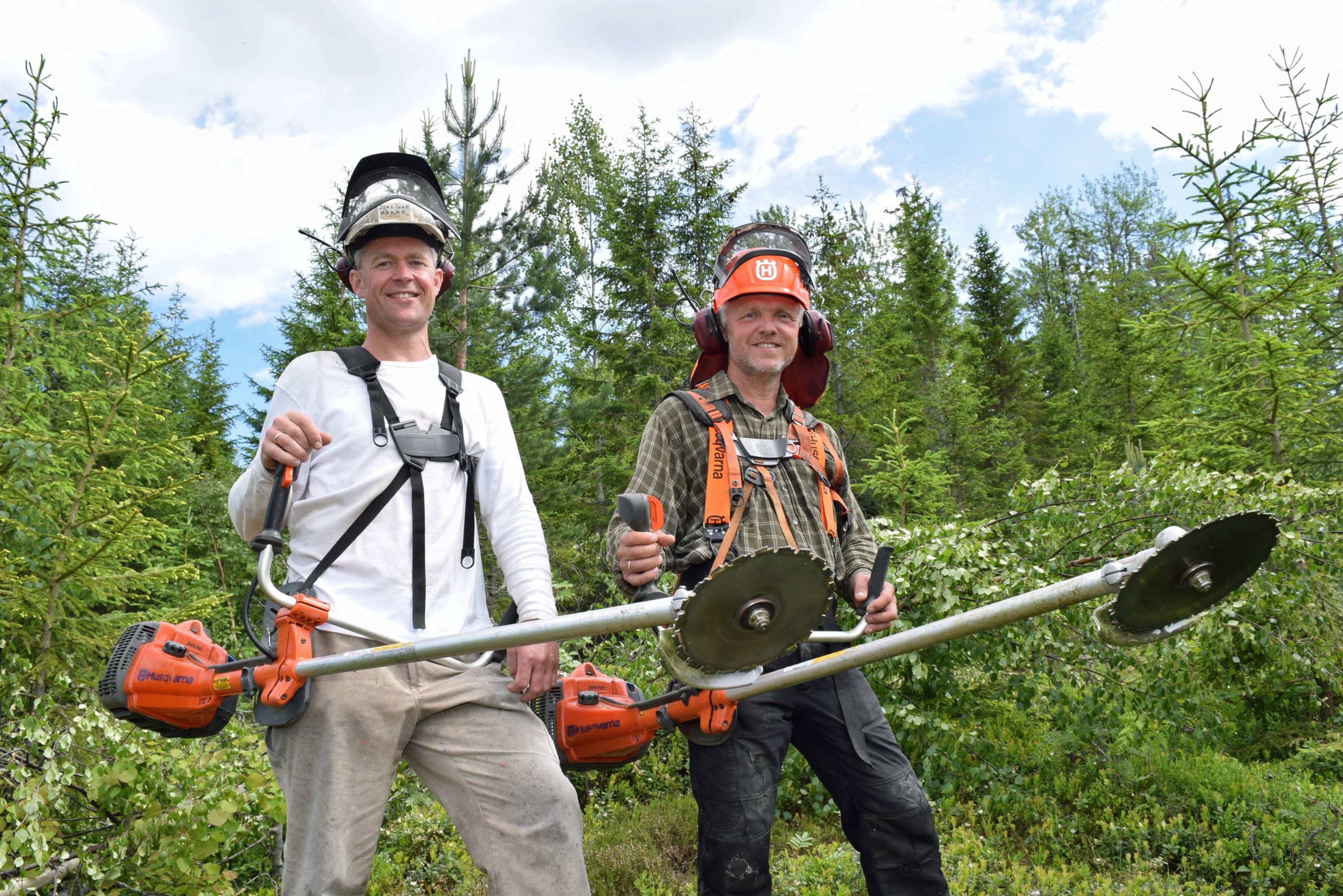 Tømmerpriser 2016 at skog