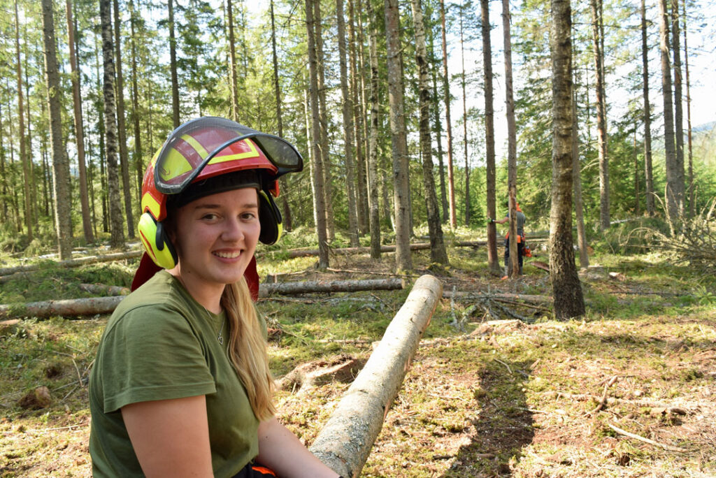 De La Bøkene Vekk Og Dro Til Skogs | AT Skog SA